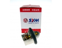 Termostat SYM JOYMAX 250 300